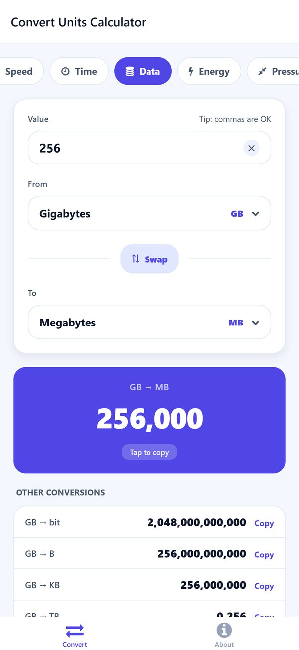 Data category: 256 gigabytes converting to 256,000 megabytes, with bits, bytes and kilobytes below
